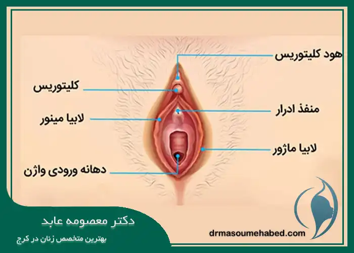 هودکتومی کرج