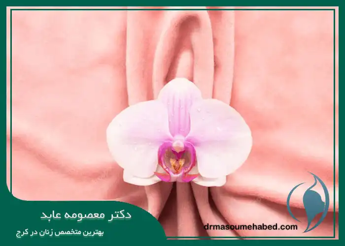 لابیای طبیعی واژن